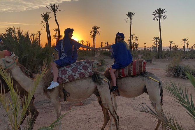 1 sunset camel ride in the palm grove of marrakech Sunset Camel Ride in the Palm Grove of Marrakech