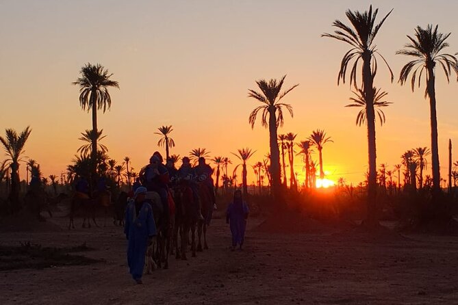 Sunset Camel Ride Marrakech Palmeraie