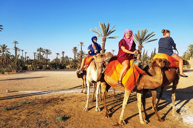 Sunset Camel Ride Tour in Marrakech Palm Grove
