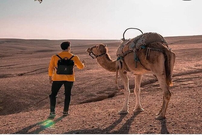 Sunset & Dinner in Desert Agafay Marrakech With Camels
