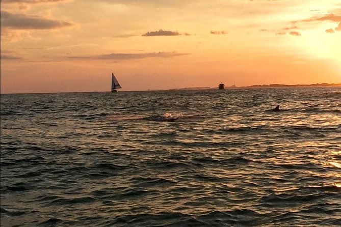 Sunset Dolphin Watching Cruise in Destin Harbor