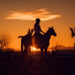 1 sunset horseback riding tour at macao beach with transfers Sunset Horseback Riding Tour at Macao Beach With Transfers