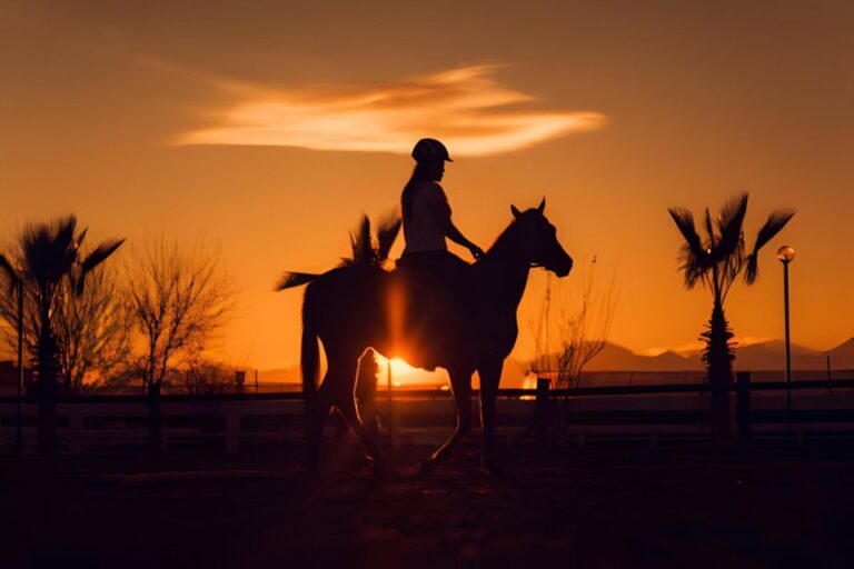 Sunset Horseback Riding Tour at Macao Beach With Transfers