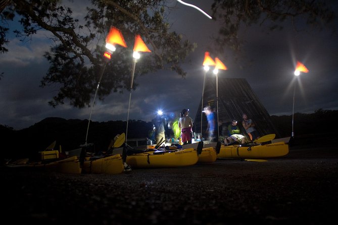 1 sunset kayak tour to rangitoto island Sunset Kayak Tour to Rangitoto Island