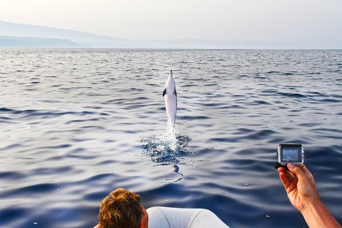 Sustainable Dolphin Watching Tour With Marine Biologist (Mar )