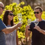 1 swan valley boutique wine tour half day small group experience Swan Valley Boutique Wine Tour: Half-Day Small Group Experience