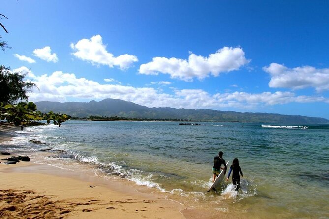 Swim With Sharks (Cage-Free) From Haleiwa, Oahu