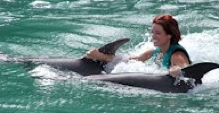 Swim With the Dolphins at Negril’s Dolphin Cove