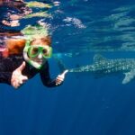 1 swim with whale sharks the largest fish in the world Swim With Whale Sharks- the Largest Fish in the World!