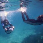 1 sydney underwater scooter tours Sydney Underwater Scooter Tours