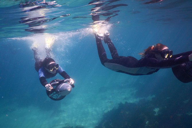Sydney Underwater Scooter Tours