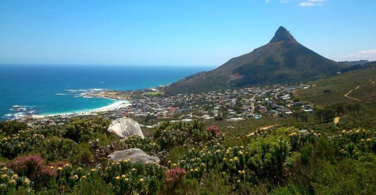 Table Mountain: Gentle Guided Meander for the Whole Family