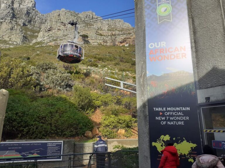 Table Mountain,Cape of Good Hope& Penguins Full Day Private