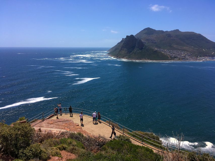 1 table moutain cape peninsula full day tour Table Moutain & Cape Peninsula: Full-day Tour