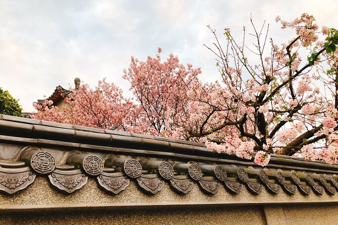 Taipei Cherry Blossom Day Tour