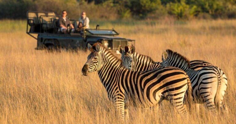 Tala Game Reserve, Natal Lion Park & Phezulu From Durban
