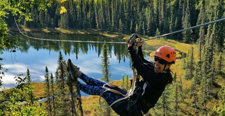 Talkeetna: Zipline Tour