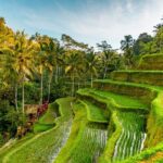 1 tanah lot tour with ubud monkey forest rice terraces and waterfalls Tanah Lot Tour With Ubud Monkey Forest, Rice Terraces, and Waterfalls