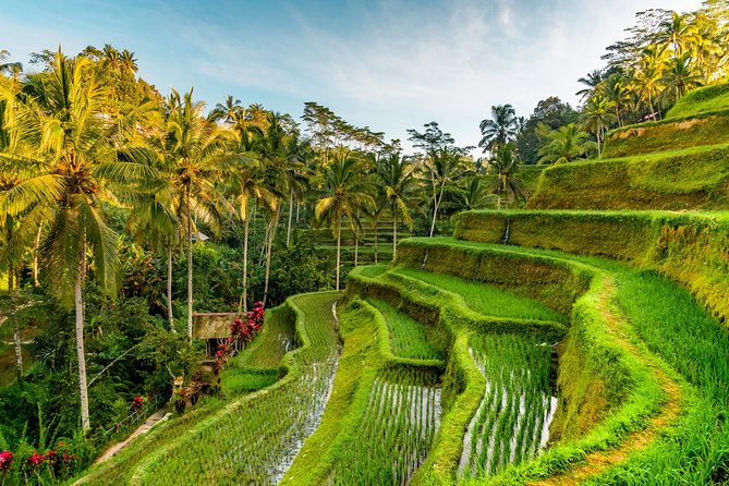 Tanah Lot Tour With Ubud Monkey Forest, Rice Terraces, and Waterfalls