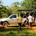 1 tangalle hiriketiya half day udawalawe safari tour in a 4x4 Tangalle/Hiriketiya: Half-Day Udawalawe Safari Tour in a 4x4