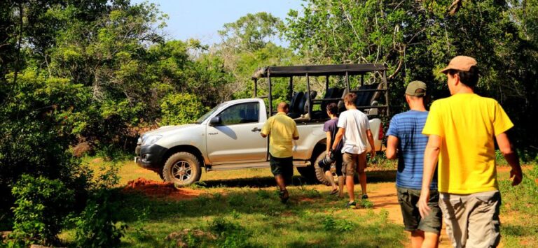 Tangalle/Hiriketiya: Half-Day Udawalawe Safari Tour in a 4×4