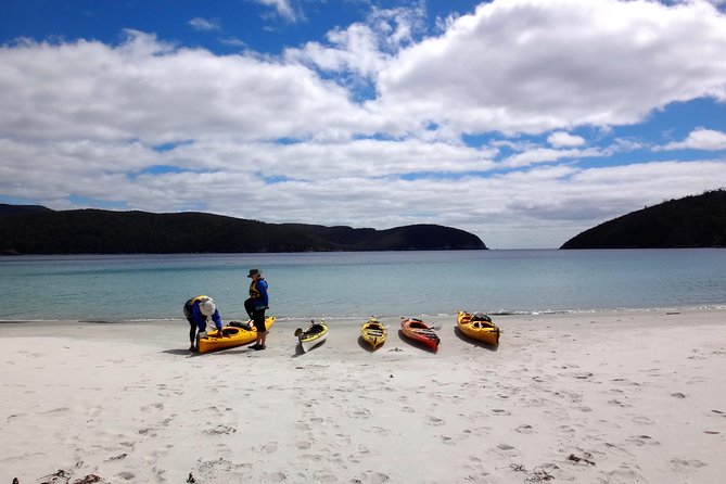 1 tasman peninsula full day kayaking tour Tasman Peninsula Full Day Kayaking Tour