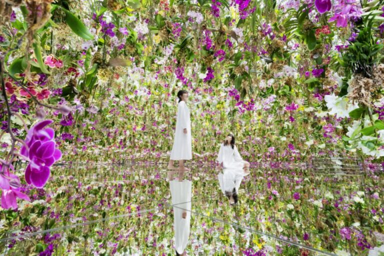 Teamlab Planets TOKYO: Digital Art Museum Entrance Ticket