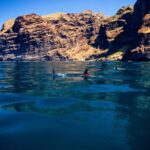 1 tenerife half day dolphin watching and swimming boat tour Tenerife Half-Day Dolphin-Watching and Swimming Boat Tour