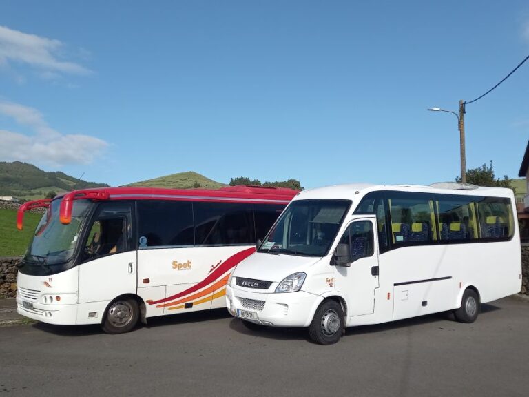 Terceira – Private Group – Half Day Guided Bus Tour
