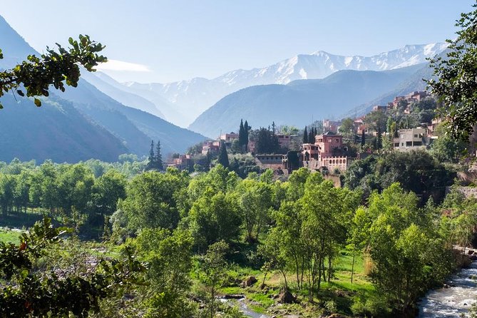The Atlas Mountains and the 3 Valleys With a Delicious Lunch in a Berber House