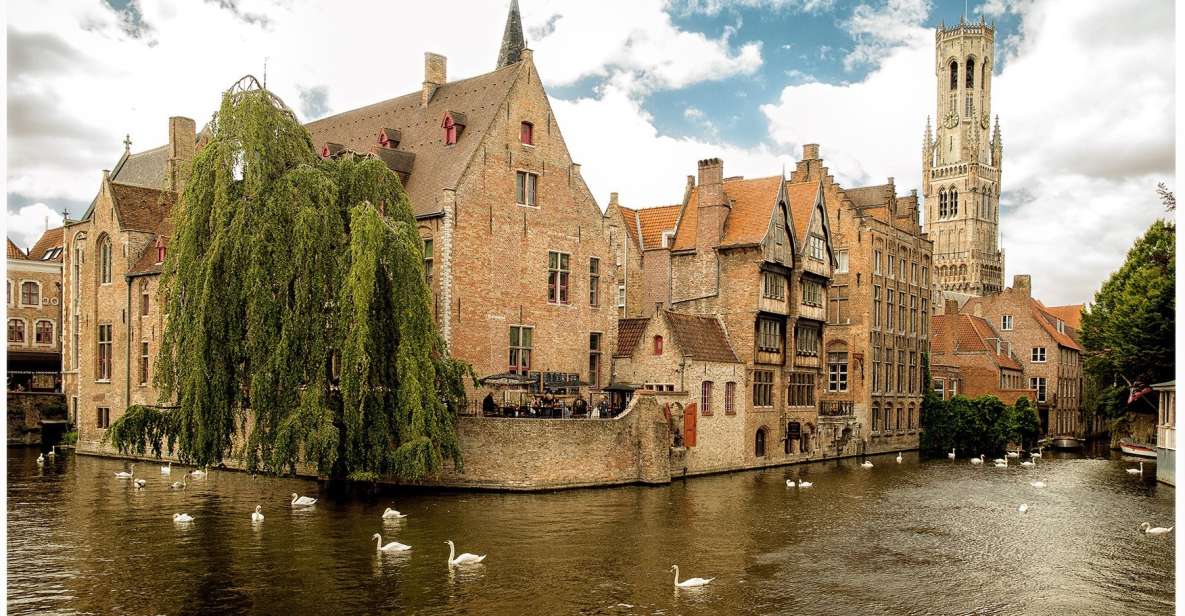 1 the best bruges bus minivan tours The BEST Bruges Bus & Minivan Tours