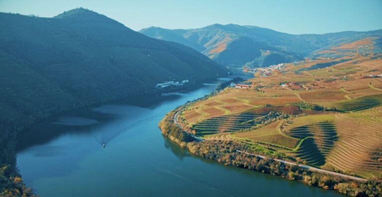 The Best Douro Wine Tour From Porto
