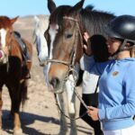 1 the best horse riding experience in gran canaria 2 hours The Best Horse Riding Experience in Gran Canaria (2 Hours)