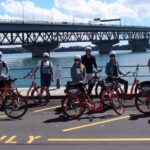 1 the easy rider a relaxed electric bike tour ride along aucklands waterfront The Easy Rider: a Relaxed Electric Bike Tour Ride Along Aucklands Waterfront