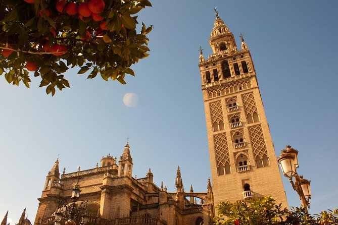 1 the real gems of seville private tour The Real Gems of Seville. Private Tour