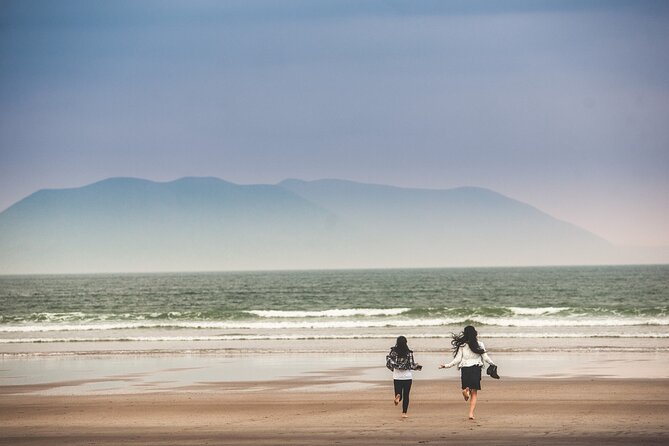 The Wild Coast of Dingle Peninsula and Slea Head From Killarney