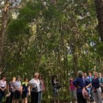 1 three hour guided bushwalk with breakfast cook monument mar Three-Hour Guided Bushwalk With Breakfast, Cook Monument (Mar )