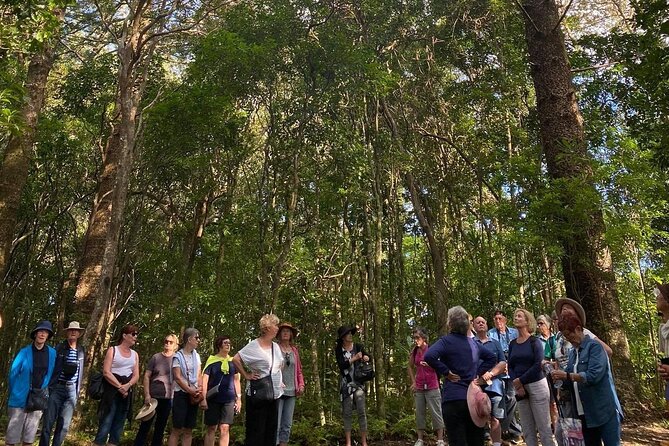 Three-Hour Guided Bushwalk With Breakfast, Cook Monument (Mar )
