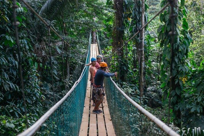 Thrilling Zipline Adventure at Bocawina Rainforest