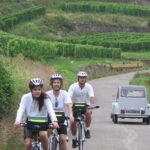 1 through alsace vineyards and wine villages private bike tour Through Alsace Vineyards and Wine Villages Private Bike Tour