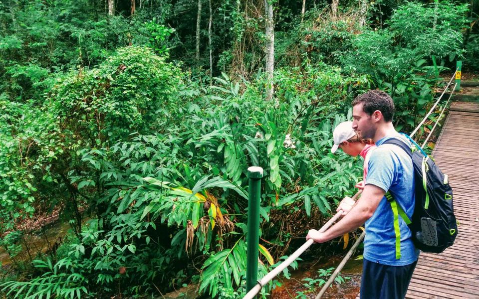 1 tijuca forest adventure history half day hike Tijuca Forest: Adventure & History Half-Day Hike