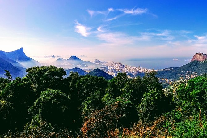 Tijuca Forest Challenge Full-Day Hike (Small-Group or Private)