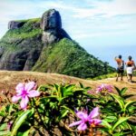1 tijuca forest half day hike small group or private Tijuca Forest Half-Day Hike (Small Group or Private)