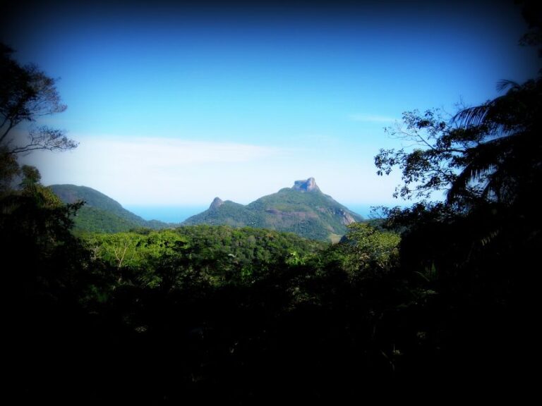 Tijuca Forests Hike: Caves, Waterfalls and Great Views