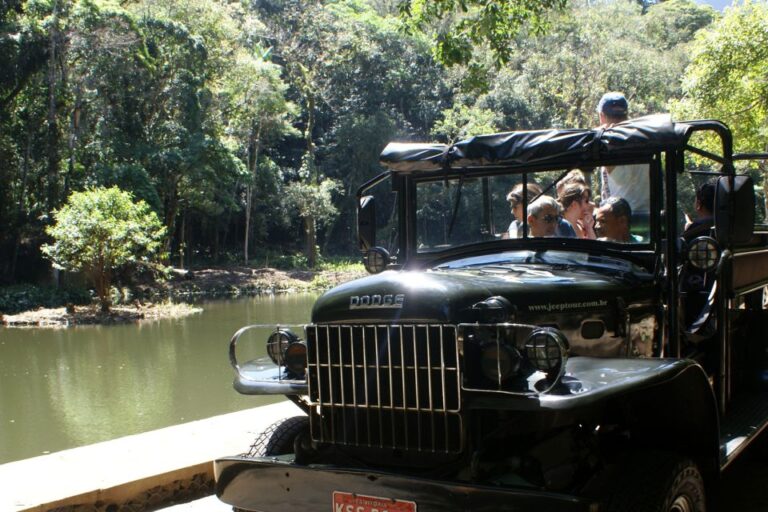 Tijuca Rain Forest Tour by Jeep From Rio De Janeiro