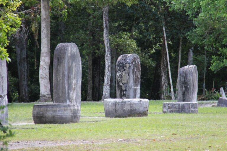 Tikal Day Tour From Flores With Lunch