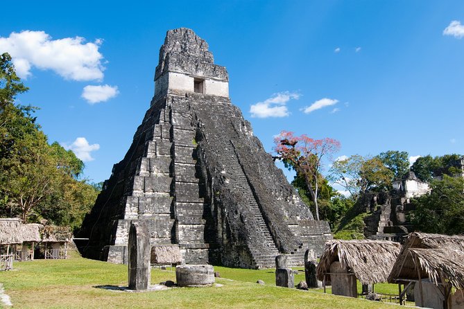 1 tikal day trip with local lunch from san ignacio Tikal Day Trip With Local Lunch From San Ignacio