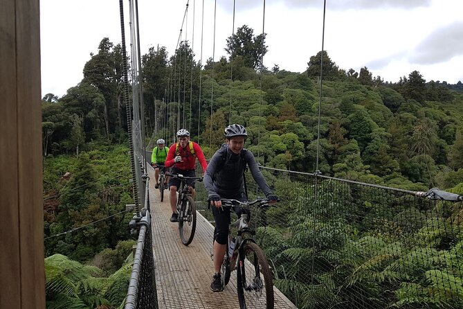 Timber Trail – Ongarue to Pureora Shuttle 2 Day Ride