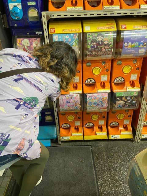 Tokyo: Akihabara, Anime, Manga, Games and Maid Cafe Tour
