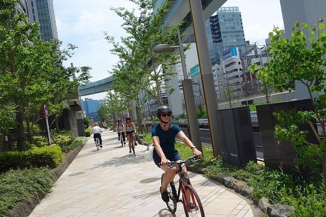 Tokyo Bike Tour With Meiji-Jingu Shrine, Aoyama Cemetery